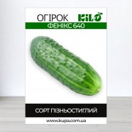 Насіння огірка Фенікс 640, 0,5кг